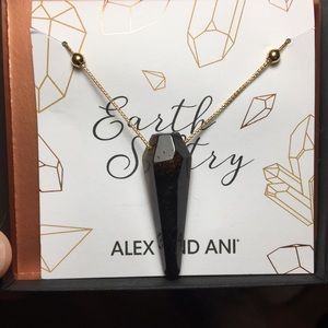 Alex and Ani tigers eye necklace